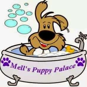 Photo: Mell's Puppy Palace - Dog Grooming Hervey Bay